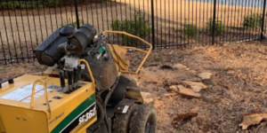 Backyard Stump Grinding Peachtree City, GA