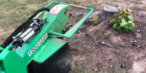 How To Remove A Tree Stump Peachtree City, GA