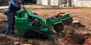 Multiple Stump Grinding Peachtree City, GA