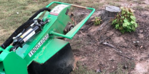 how-to-remove-a-rotten-tree-stump-peachtree-city-ga