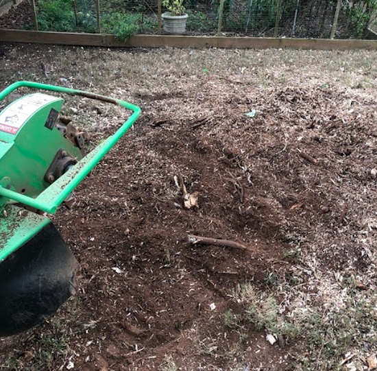 how-to-remove-a-tree-stump-service-peachtree-city-ga