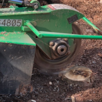 multiple-front-yard-stump-grinding-peachtree-city-ga