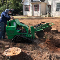 multiple-stump-grinding-peachtree-city-ga