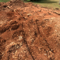 tree-stump-removal-fayetteville-ga