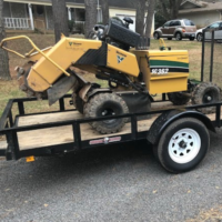 backyard-rotting-stump-grinding-peachtree-city-ga