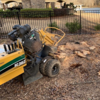 backyard-stump-grinding-service-peachtree-city-ga