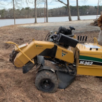 backyard-tree-stump-grinding-peachtree-city-ga